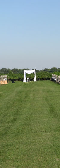 Chuppah in Winery in Niagara on the Lake